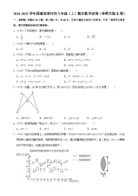 福建省漳州市八年级上学期期末教学质量检测数学试题（华东师大版B卷）-A4