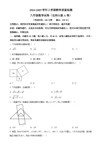 福建省漳州市2024—2025学年八年级上学期期末教学质量检测数学北师大版A卷（原卷版）-A4