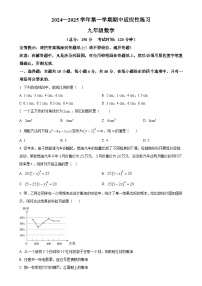 福建省漳州市台商投资区交通中学上学期期中教学质量检测九年级数学试卷（原卷版）-A4