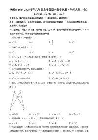 福建省漳州市2024—-2025学年八年级上学期期末教学质量检测数学试题(华师大版A卷)（原卷版）-A4