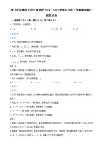 福建省漳州市闽南师大附中联盟校八年级上学期数学期中模拟试卷（解析版）-A4