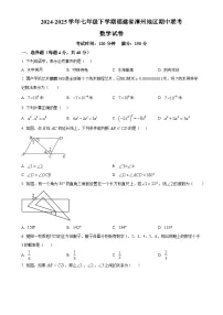 福建省漳州地区七年级下学期期中联考数学试卷（原卷版）-A4