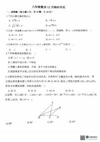 陕西省西安市陕西师范大学附属中学2025-2026学年八年级上学期第二次月考数学试题