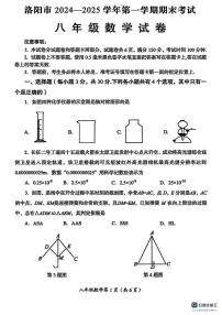 河南洛阳市2024-2025学年上学期期末考试八年级数学试卷