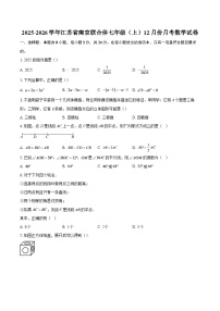 2025-2026学年江苏省南京联合体七年级（上）12月份月考数学试卷-自定义类型