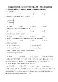 湖北省武汉市洪山区2024-2025学年七年级上学期1月期末考试数学试卷（含解析）