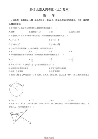 2025北京大兴初三（上）期末数学试卷（教师版）