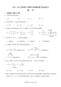 2024－2025学年第一学期七年级数学期末复习卷