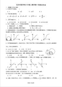 广东省深圳市宝安区实验中学2025-2026学年八年级上学期第7周周测数学试卷（月考）