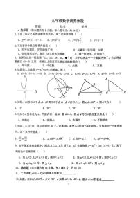 江苏省扬州市树人集团2025-2026学年九年级上学期12月月考数学试题