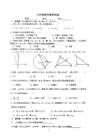 江苏省扬州市树人集团2025-2026学年九年级上学期12月月考数学试题