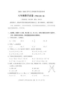 福建省漳州市2024—-2025学年八年级上学期期末教学质量检测数学试题（华东师大版B卷）