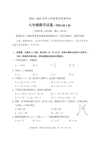 福建省漳州市2024—-2025学年八年级上学期期末教学质量检测数学试题（华东师大版B卷）