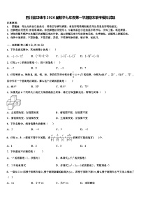 四川省邛崃市2026届数学七年级第一学期期末联考模拟试题含解析
