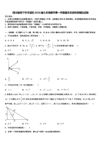 四川省遂宁市市城区2026届七年级数学第一学期期末质量检测模拟试题含解析