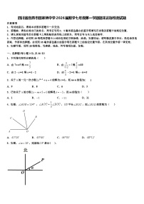 四川省自贡市田家炳中学2026届数学七年级第一学期期末达标检测试题含解析