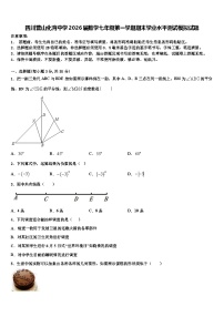 四川营山化育中学2026届数学七年级第一学期期末学业水平测试模拟试题含解析