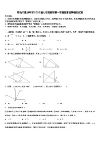 邢台市重点中学2026届七年级数学第一学期期末调研模拟试题含解析