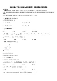 宿迁市重点中学2026届七年级数学第一学期期末监测模拟试题含解析