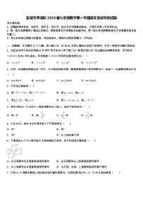 盐城市亭湖区2026届七年级数学第一学期期末质量检测试题含解析