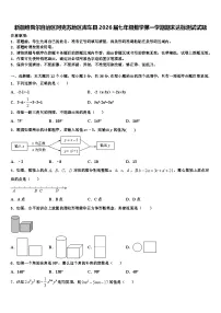 新疆维吾尔自治区阿克苏地区库车县2026届七年级数学第一学期期末达标测试试题含解析