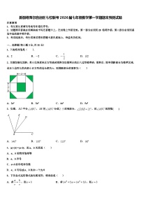 新疆维吾尔自治区七校联考2026届七年级数学第一学期期末预测试题含解析