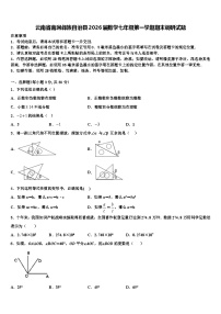 云南省南涧彝族自治县2026届数学七年级第一学期期末调研试题含解析