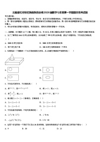 云南省红河哈尼族彝族自治州2026届数学七年级第一学期期末统考试题含解析