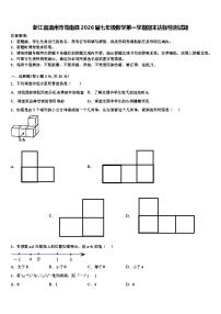 浙江省温州市苍南县2026届七年级数学第一学期期末达标检测试题含解析