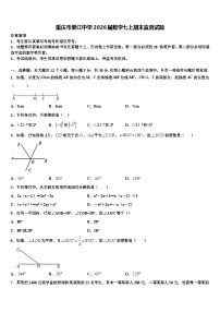 重庆市綦江中学2026届数学七上期末监测试题含解析