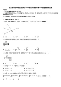重庆市渝中学区实验学校2026届七年级数学第一学期期末预测试题含解析