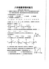 江苏省徐州市树人初级中学2025-2026学年八年级上学期第二次月考数学试卷
