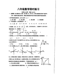 江苏省徐州市树人初级中学2025-2026学年八年级上学期第二次月考数学试卷