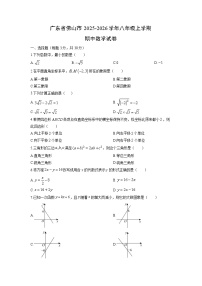 广东省佛山市2025-2026学年八年级上学期期中数学试卷（学生版）