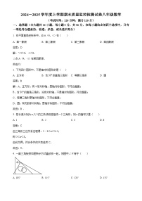 广西贺州市富川县2024-2025学年八年级上学期期末检测数学试卷(含解析)