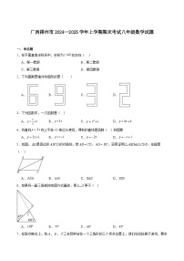 广西梧州市2024-2025学年八年级上学期期末考试数学试卷(含解析)