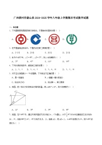 广西梧州市蒙山县2024-2025学年八年级上学期期末考试数学试卷(含解析)