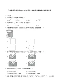 广西梧州市蒙山县2025届九年级上学期期末考试数学试卷(含解析)