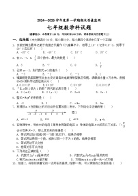 海南省乐东县、琼中县、屯昌县、白沙县等2024-2025学年七年级上学期期末考试数学试卷(含答案)