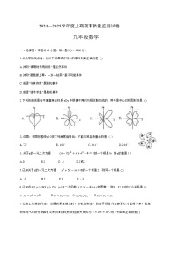 河南省信阳市罗山县2025届九年级上学期1月期末考试数学试卷(含答案)