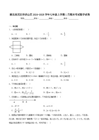 湖北省武汉市洪山区2024-2025学年七年级上学期1月期末考试数学试卷(含解析)