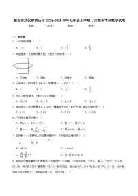 湖北省武汉市洪山区2024-2025学年七年级上学期1月期末考试数学试卷(含解析)