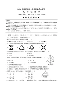 湖北省襄阳市老河口市2025届九年级上学期期末学业质量综合监测数学试卷(含答案)