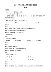 福建省泉州市2024--2025学年九年级上学期期末教学质量监测数学试卷（解析版）-A4