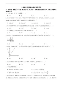 广东省广州市越秀区2025年七年级上学期期末考试数学试卷及答案