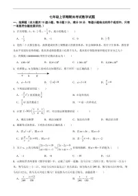 湖南省娄底市冷水江市2025年七年级上学期期末考试数学试题及答案