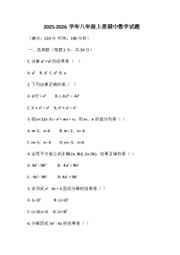 河南省鄢陵县彭店镇2025-2026学年八年级上学期期中数学试题（含答案）