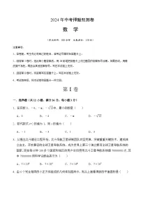 2024年中考数学（海南）押题预测卷一（含答案）