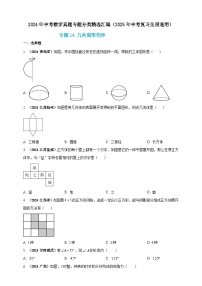 2024年中考数学真题分类汇编——几何图形初步（含答案）