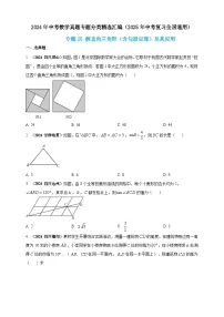 2024年中考数学真题分类汇编——解直角三角形（含勾股定理）及其应用（含答案）